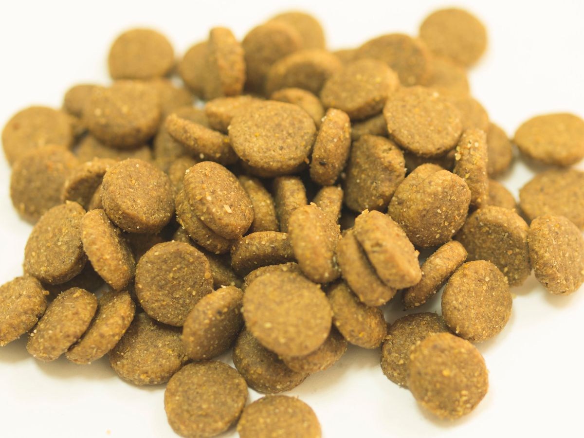 Pet food