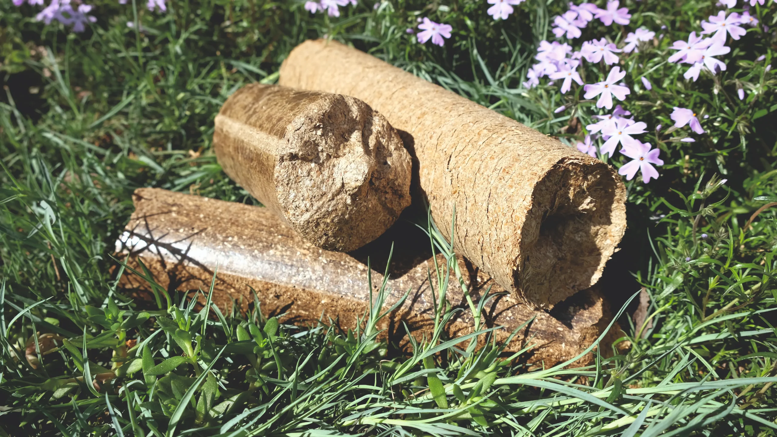nestro briquette bronto